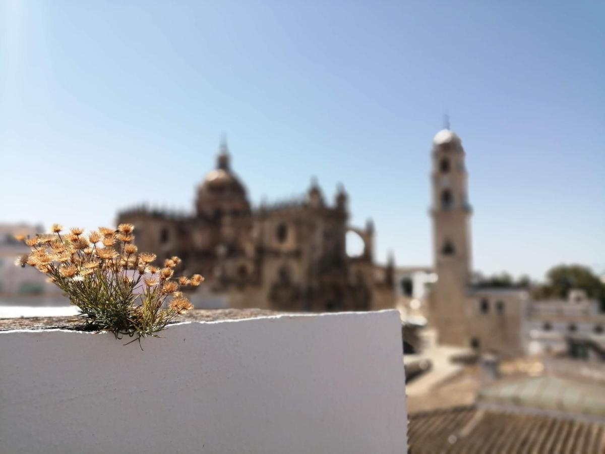 Bellas Artes Catedral Jerez de la Frontera Exterior foto